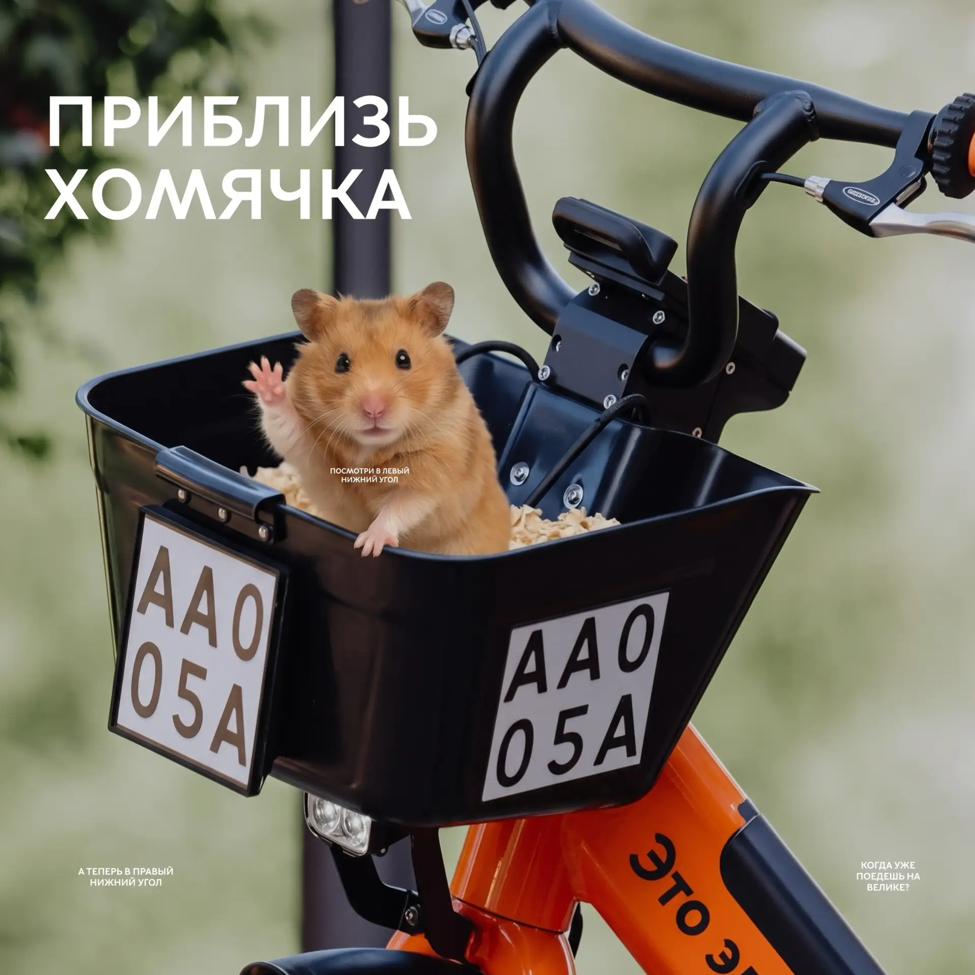 Хватит откладывать на «потом» — велик ждёт, маршрут зовёт 🚲
