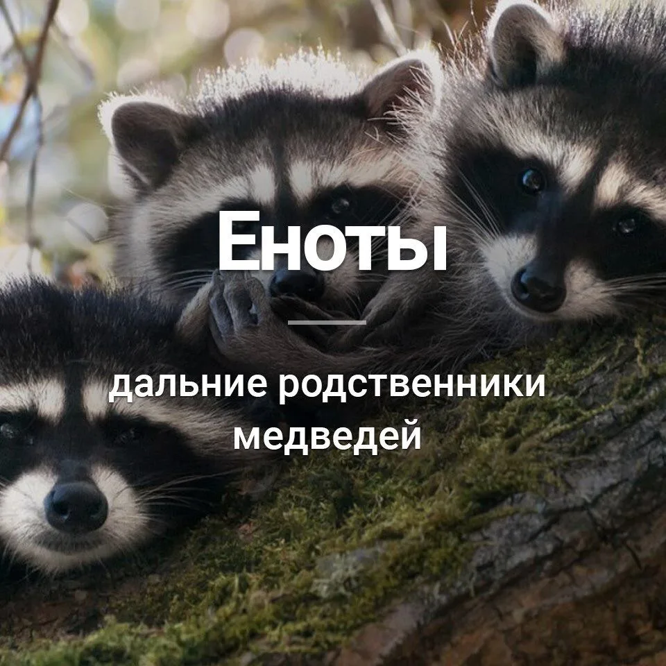 Признавайтесь, знали?