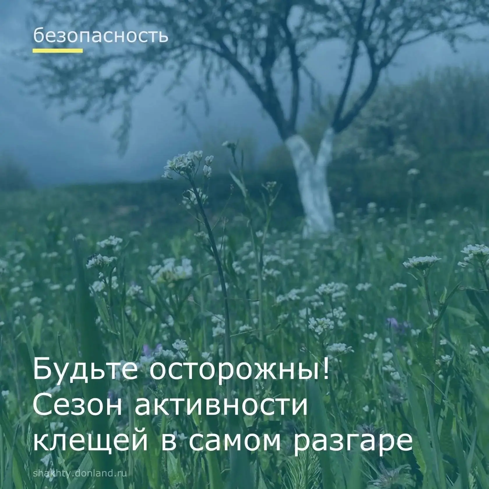 Летний период сопровождается высокой активностью клещей