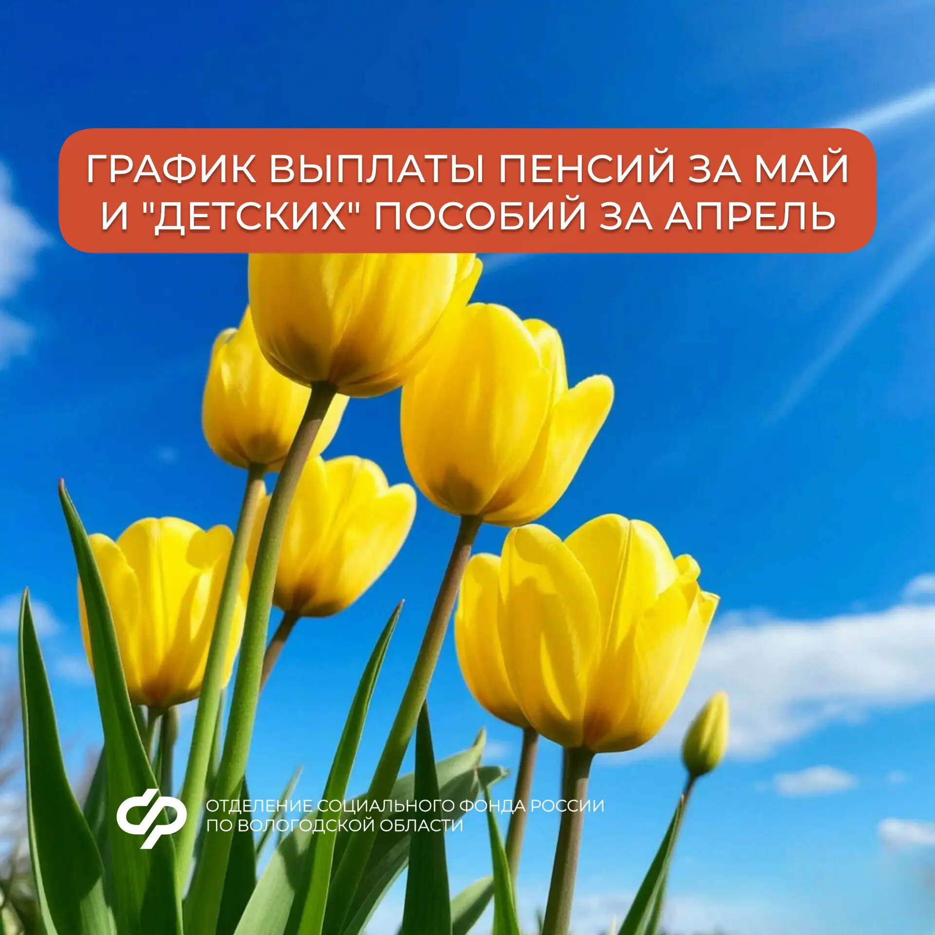 График выплаты пенсий за май и пособий семьям с детьми за апрель💫  Подробнее — в наших карточках 👆  
