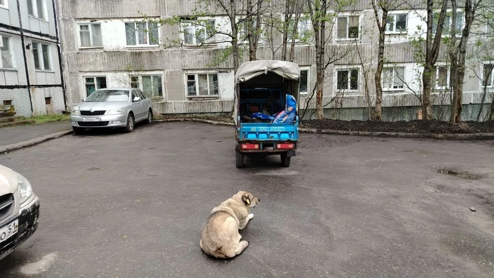 👍Ежедневная уборка фонда не прекращается ни в какую погоду
