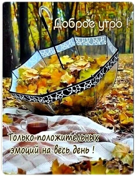 Открытки доброе утро