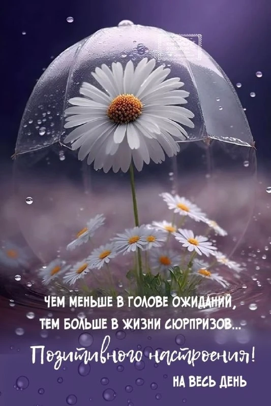 Открытки: подписаться ❤️