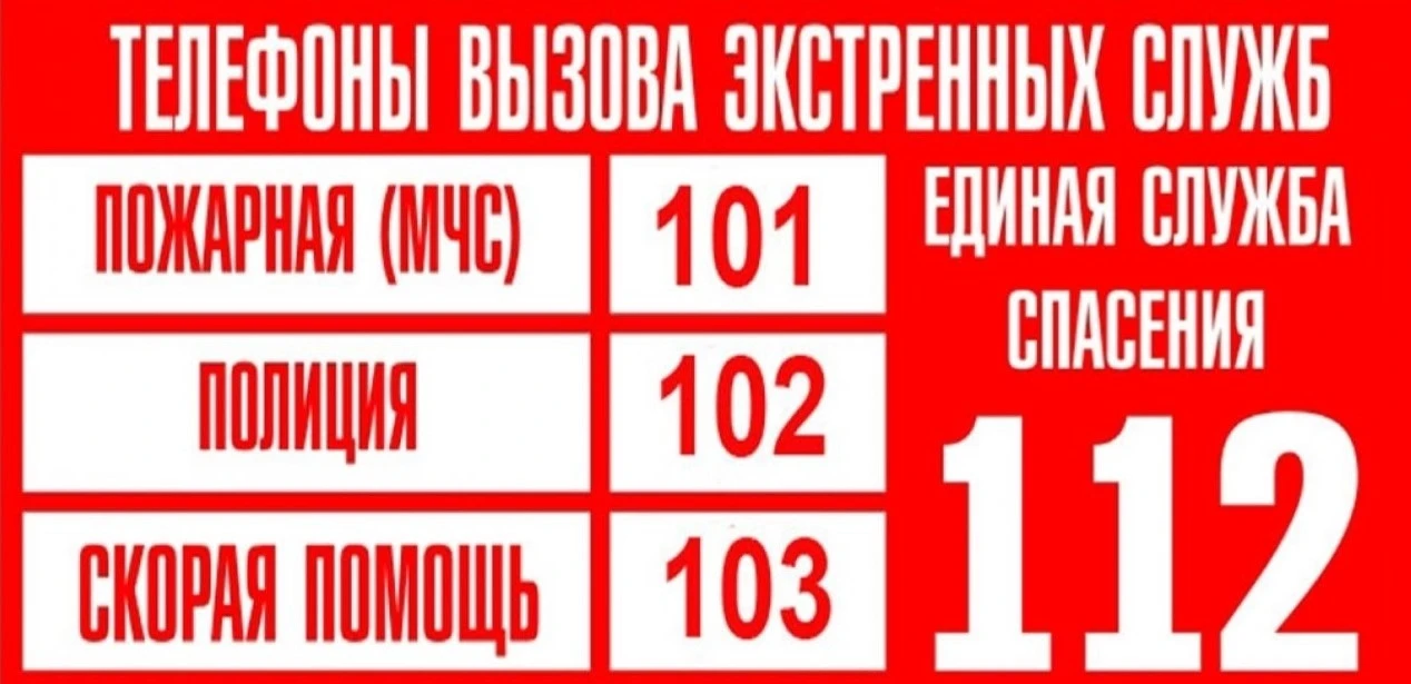 ⚡ За прошедшую неделю в единую дежурно-диспетчерскую службу МБУ «Управление ГО и ЧС Зим...