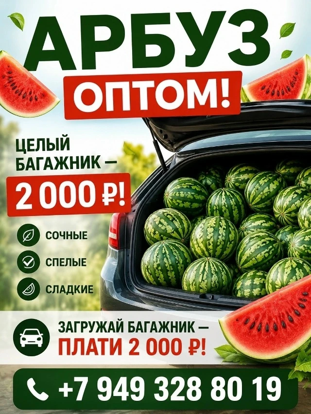 🧰 По вопросам сотрудничества писать сюда