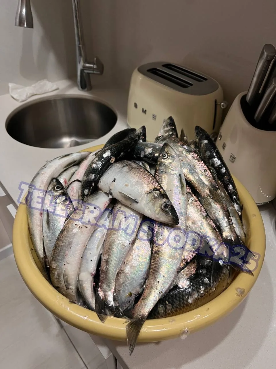 🐟 Во Владивостоке на Токаревском маяке море просто ломится от рыбы — горожане ловят селедку руками  