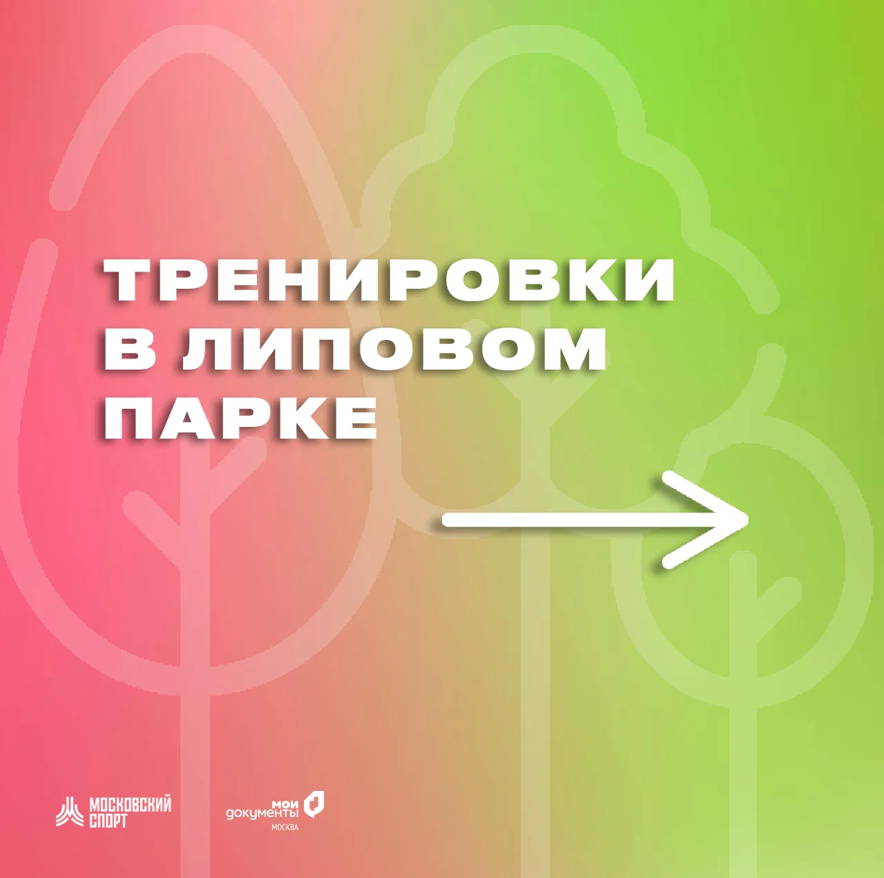 Липовый парк в Коммунарке и наши бесплатные тренировки 🌿