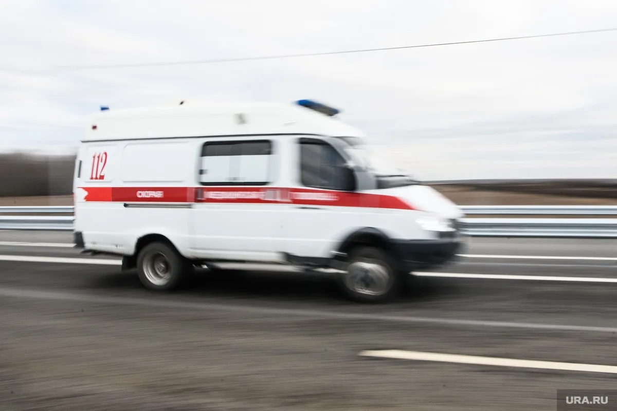 🚨 Черная рвота в поезде: в Сургуте пассажира экстренно сняли с рейса
