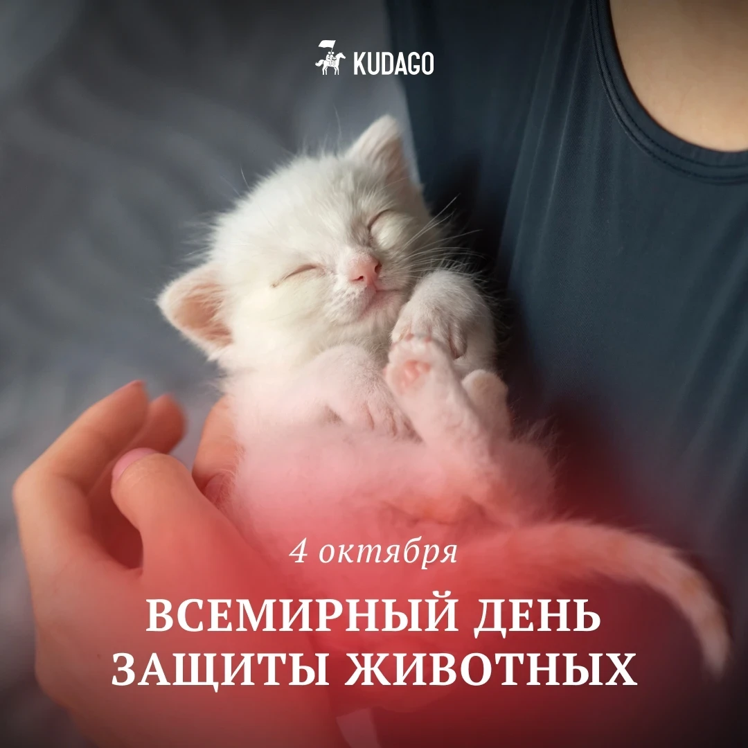 Сегодня — Всемирный день защиты животных