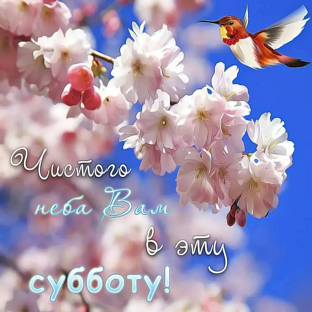 Подписаться на Привет Пипл!