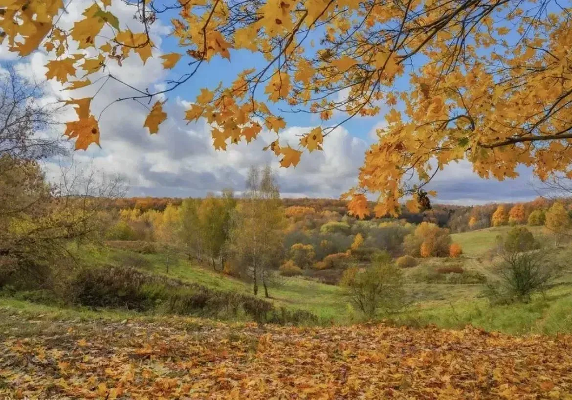 ❗️Доброе утро! 🍁