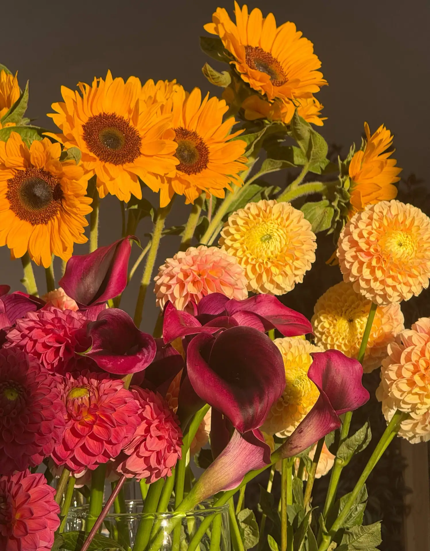 Сезон наших самых любимых поставок 💛