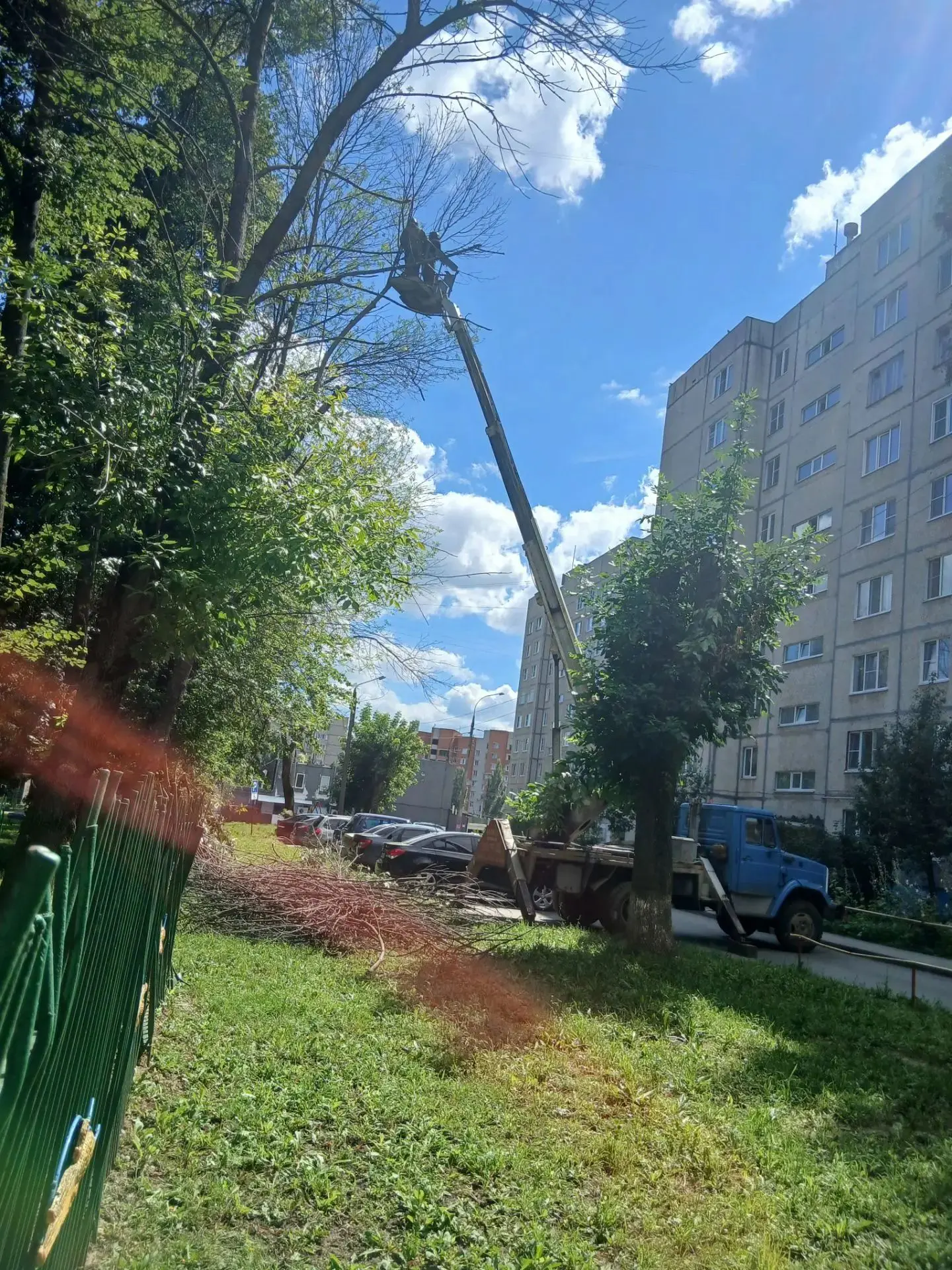 Весна в этом году внесла свои коррективы. Низкая температура воздуха поранила многие де...