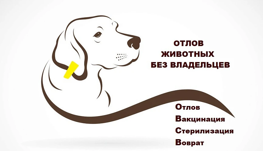 Уважаемые станичники! 29.06.2026 г. на территории нашего поселения будет производится о...
