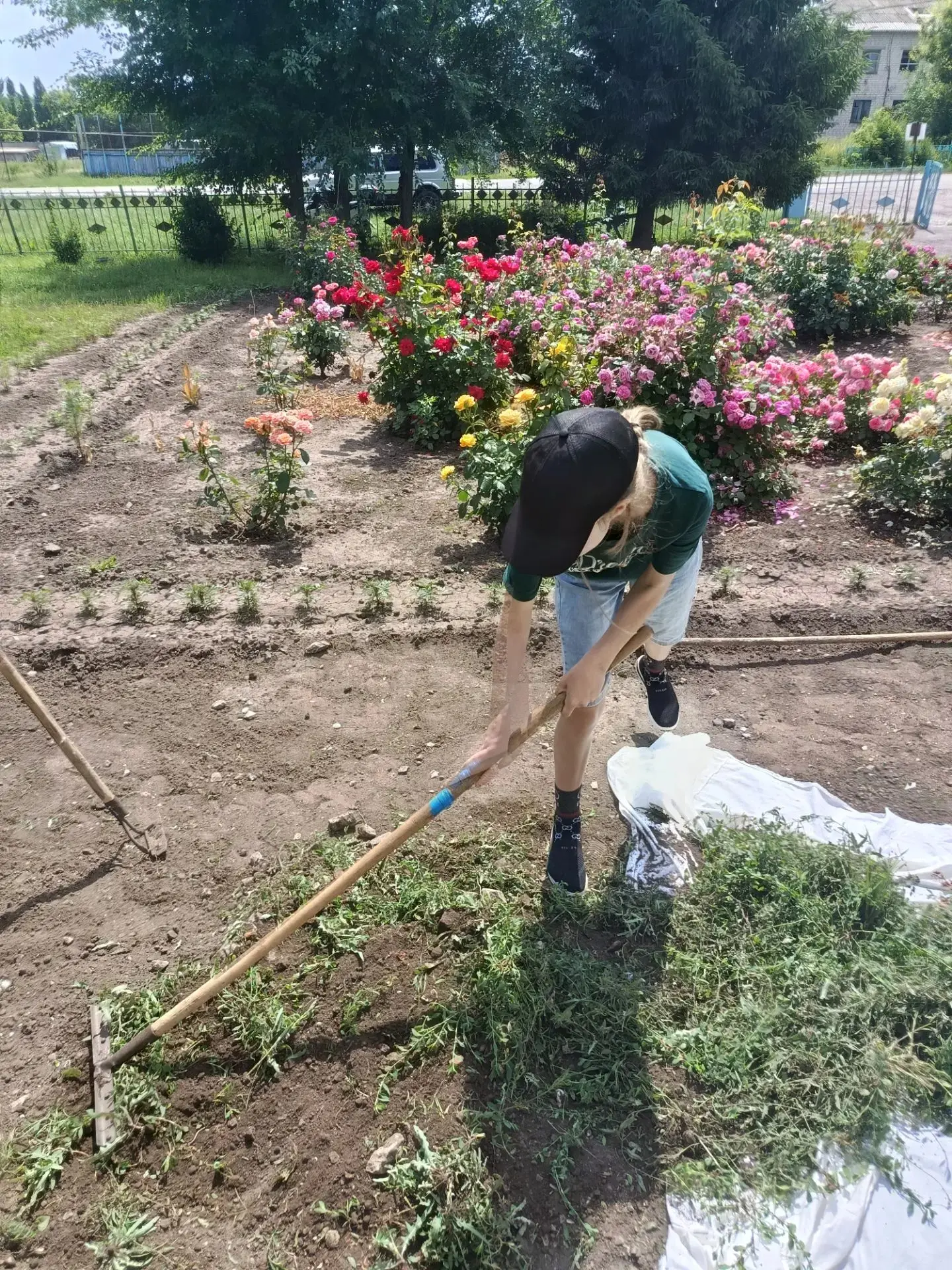 День под девизом «Луч природы» в летнем лагере «Колосок»

Сегодняшний день , 19.06.2026 в летнем лаг