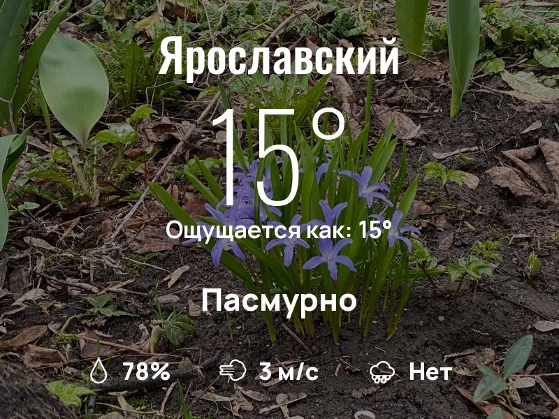 Что с погодой в Ярославском?