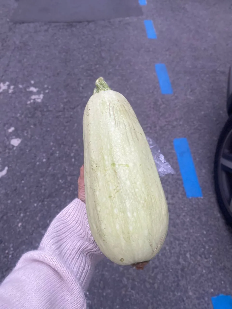 А вам уже всучили кабачок в этом сезоне?🤪