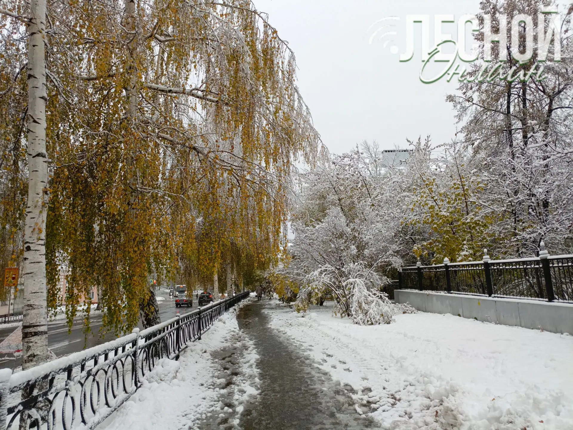 🌨 Из-за неблагоприятных погодных условий — перепадов температуры и снегопада — повышае...