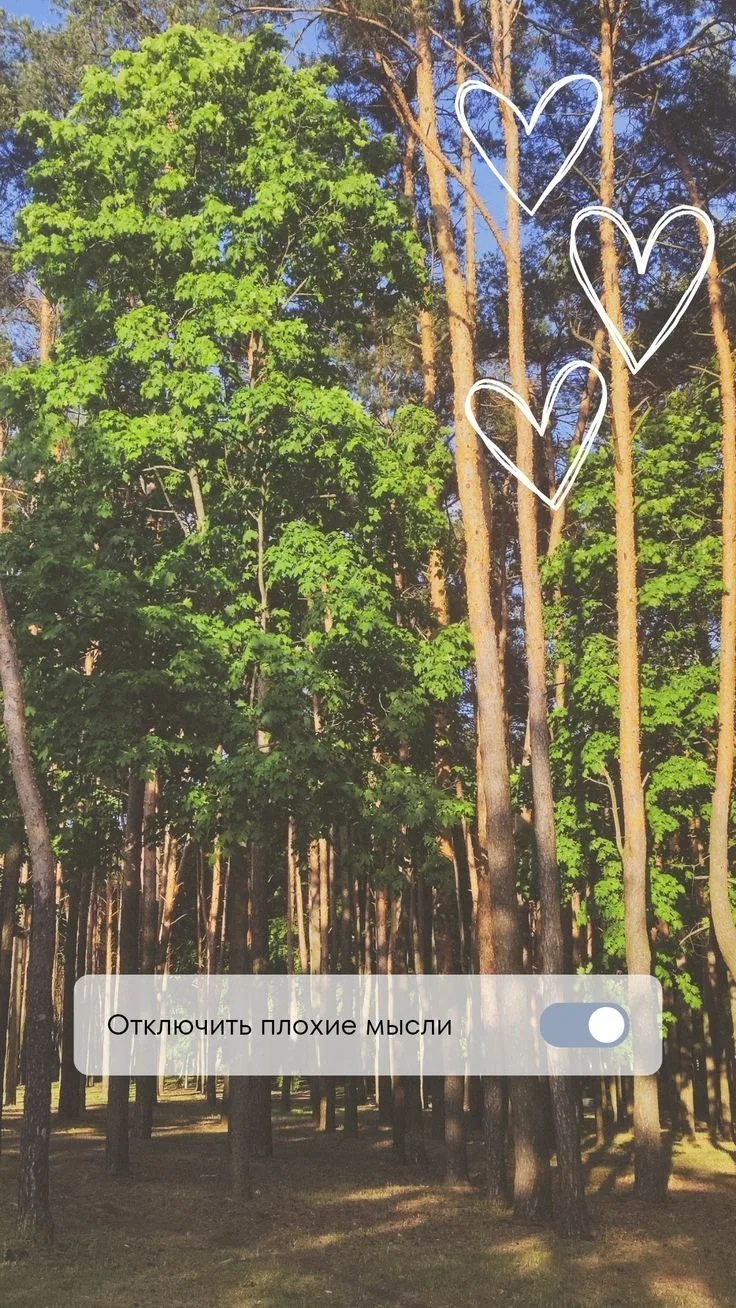 Расслабленных, спокойных снов 💚