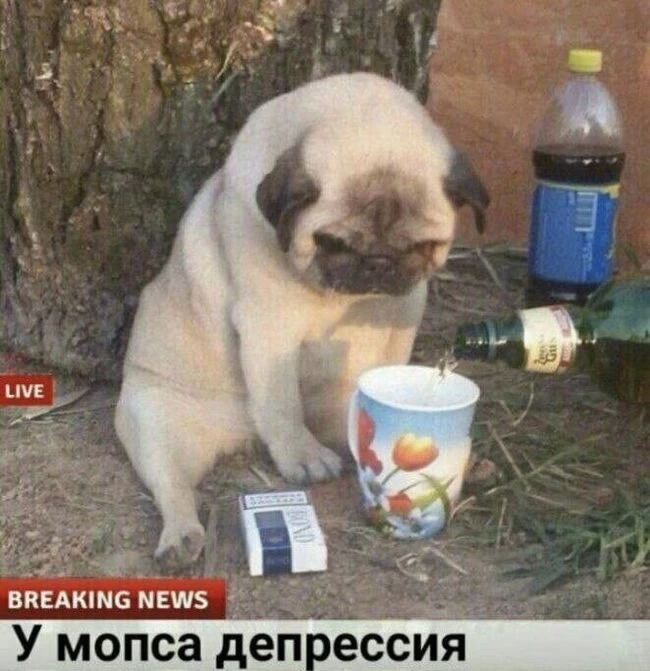 Новостройки Москвы всё ещё дорожают! 📈