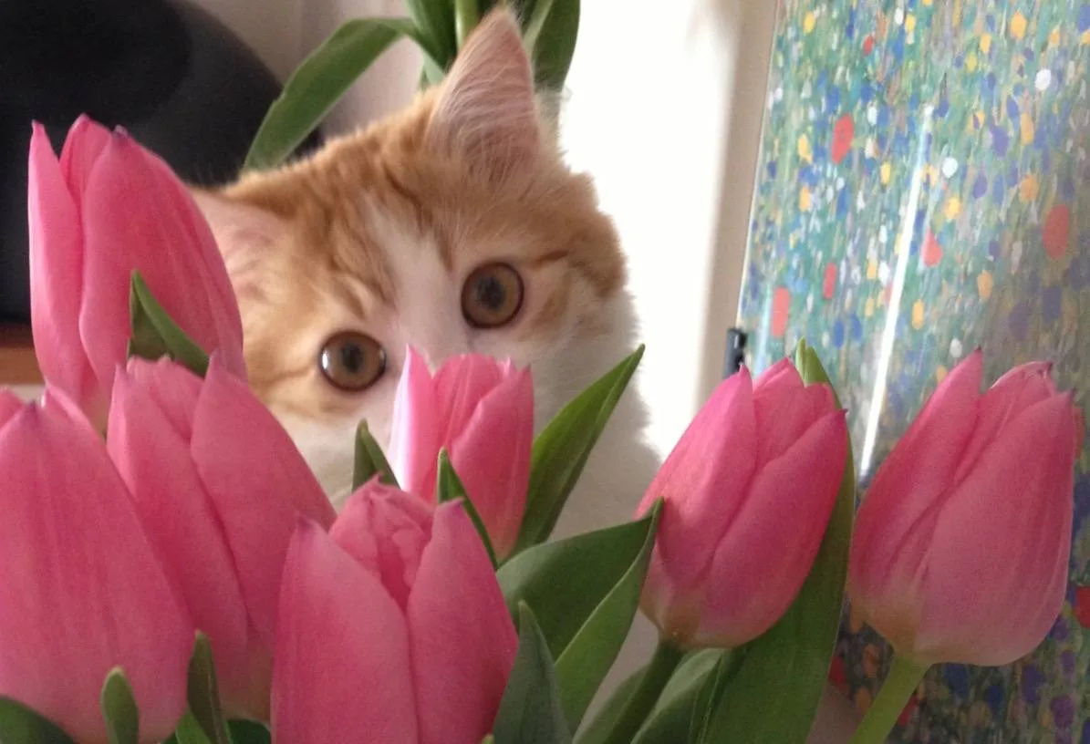 🌿 С добрым утром!