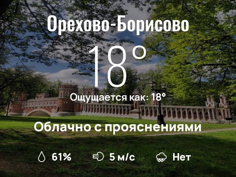 Что с погодой в Орехово-Борисово?