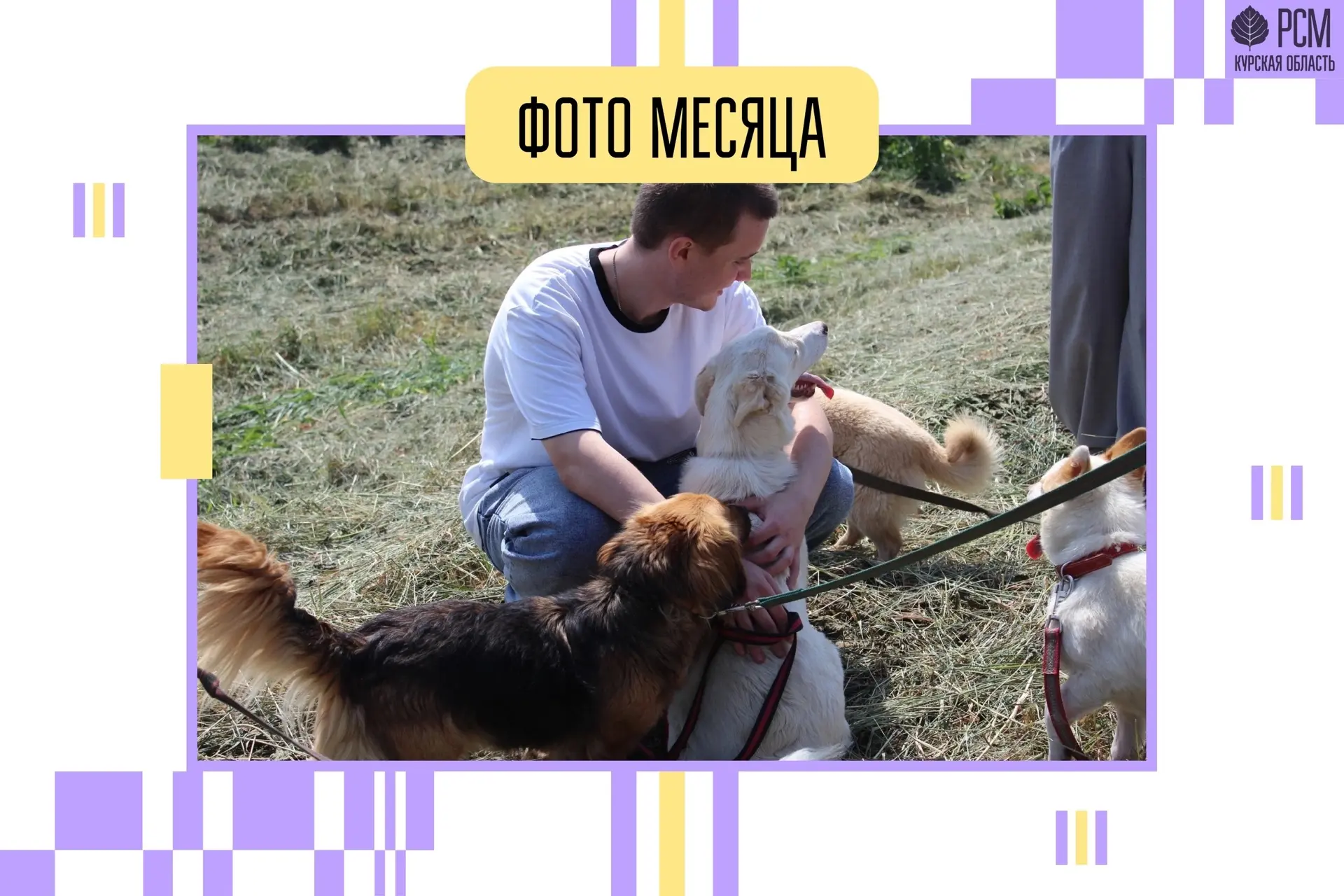 Запускаем новую рубрику - «Фото месяца» 💛

7 июня команда Пресс-службы отправилась в приют «Право ж