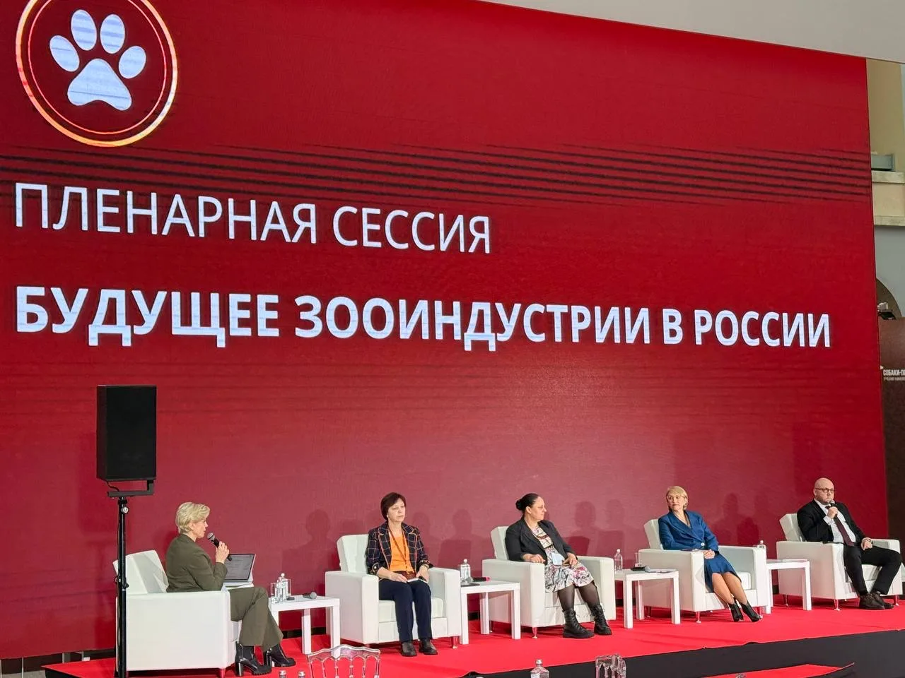 Дружелюбная городская среда для питомцев и их хозяев: АСИ напомнило о рабочих инструментах и практик