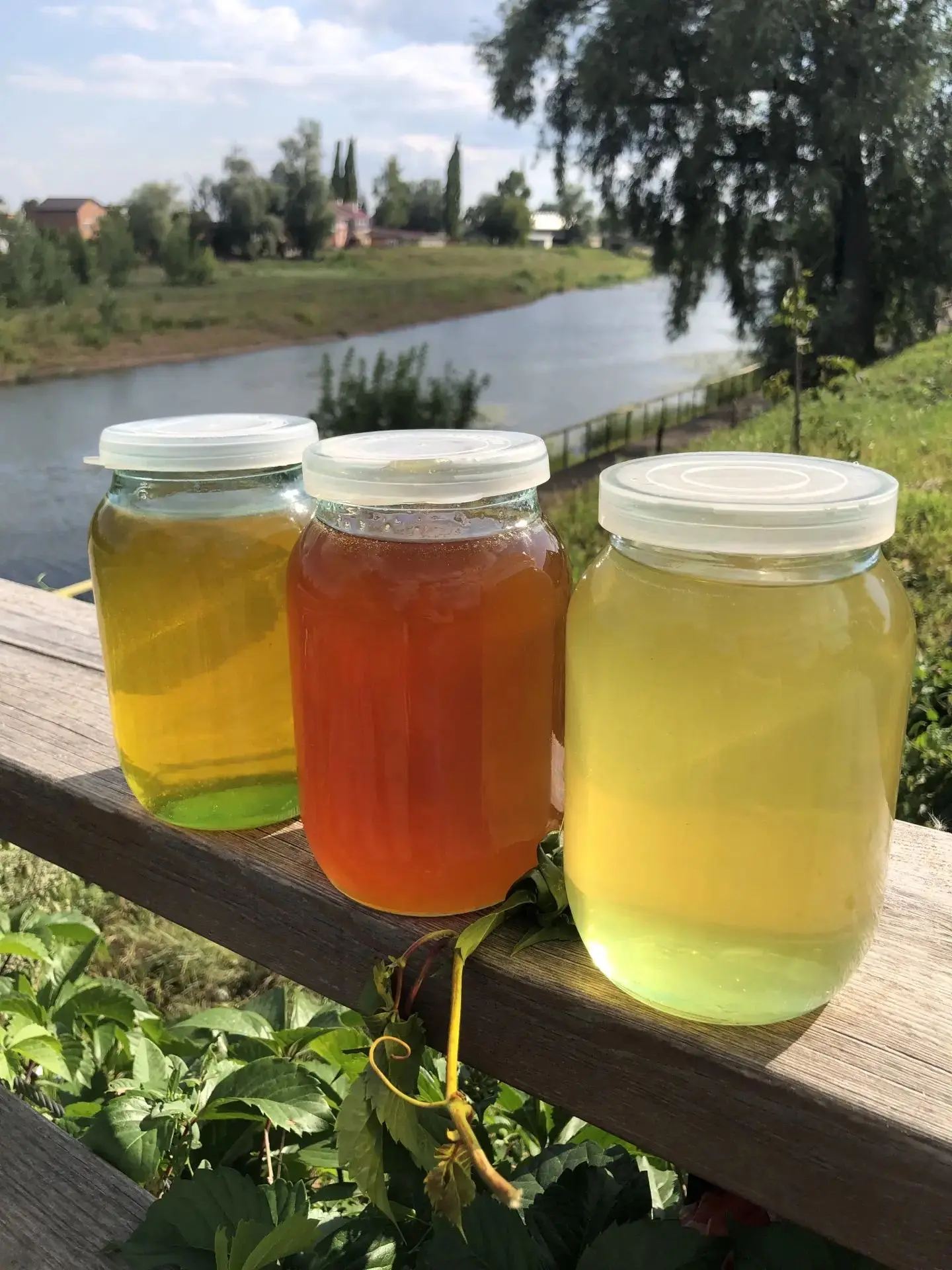 Мёд горной липы.