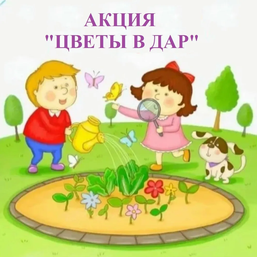 🌺«ЦВЕТЫ В ДАР»: Сделаем наш детский сад самым цветущим! 🌺