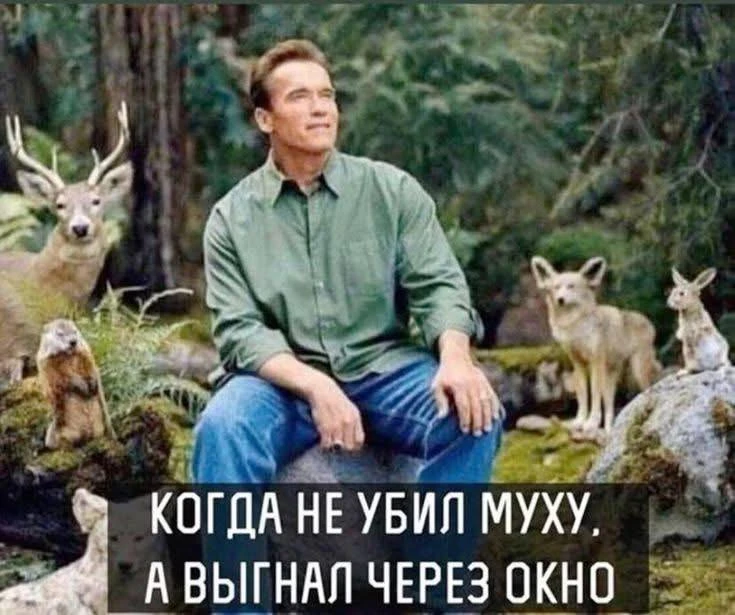 😎Православные тоже шутят - Позитивный канал, с доброй и душевной атмосферой.