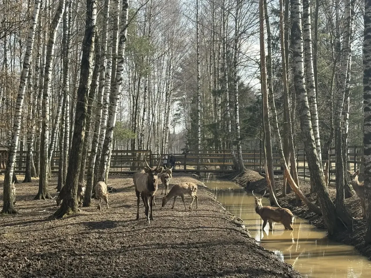 🌳Когда школьники идут в поход с рюкзаками овощей!   Знаете, что бывает, когда ребята с 4 по 6 класс 