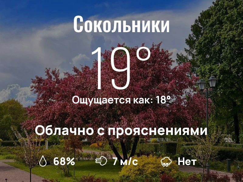 Что с погодой в Сокольниках?