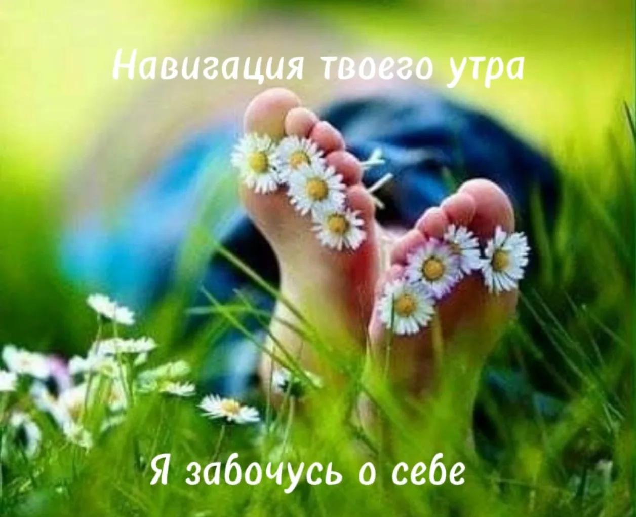 Навигация твоего утра 💎