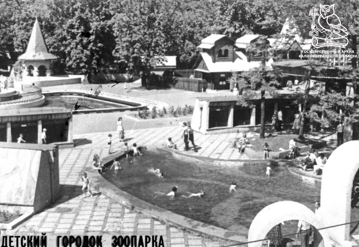 Наш зоопарк сильно пострадал в годы войны. В апреле 1945 года часть деревянных сооружений сгорела 😥