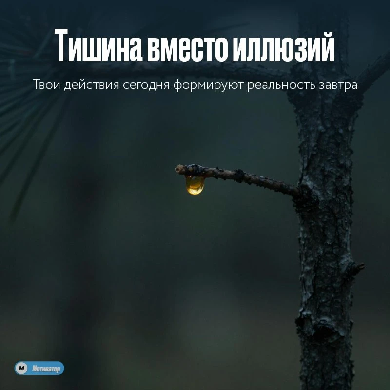 Тишина вместо иллюзий