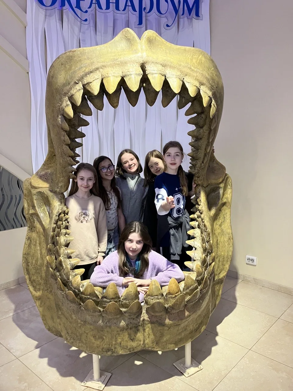 🐟Из жизни гимназистов 🐠  Ученики 5-1 класса побывали на экскурсии  в океанариуме.  В петербургском о
