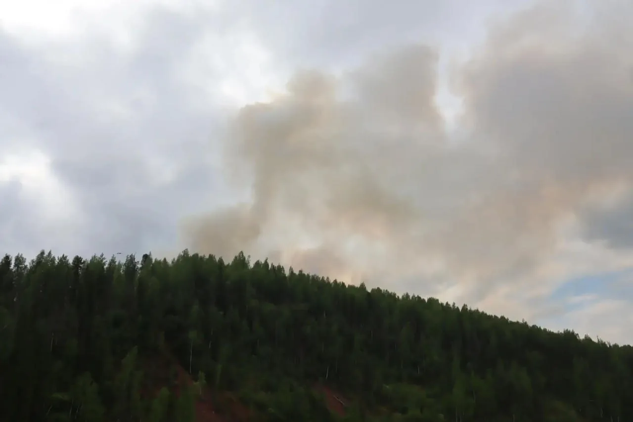 🔥🌲В Красноярском крае тушат 97 лесных пожаров 

С огнем борются более 1200 человек, включая федера