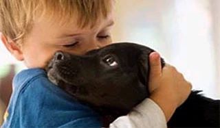 🐶🦊 О бешенстве: памятка для школьника
