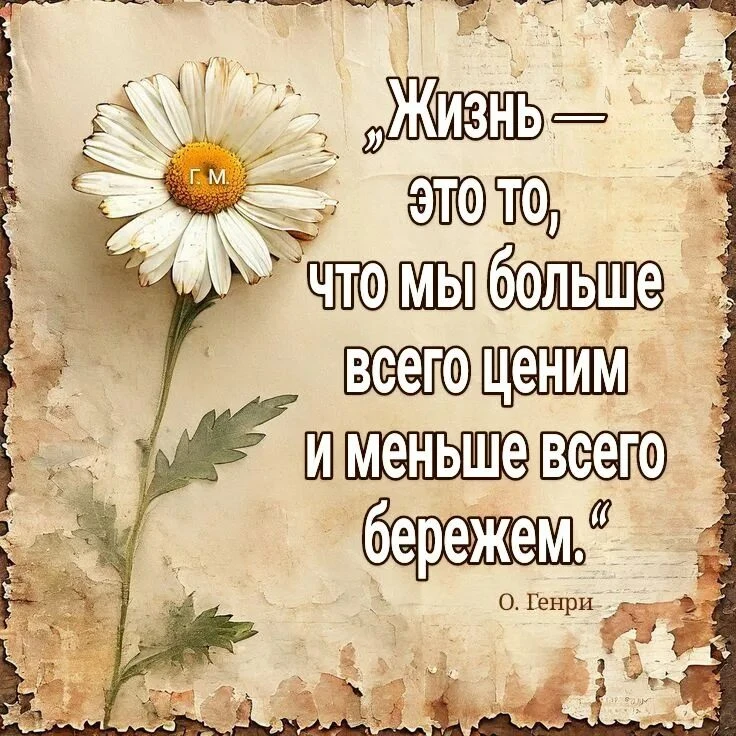 Жизнь это 🌼