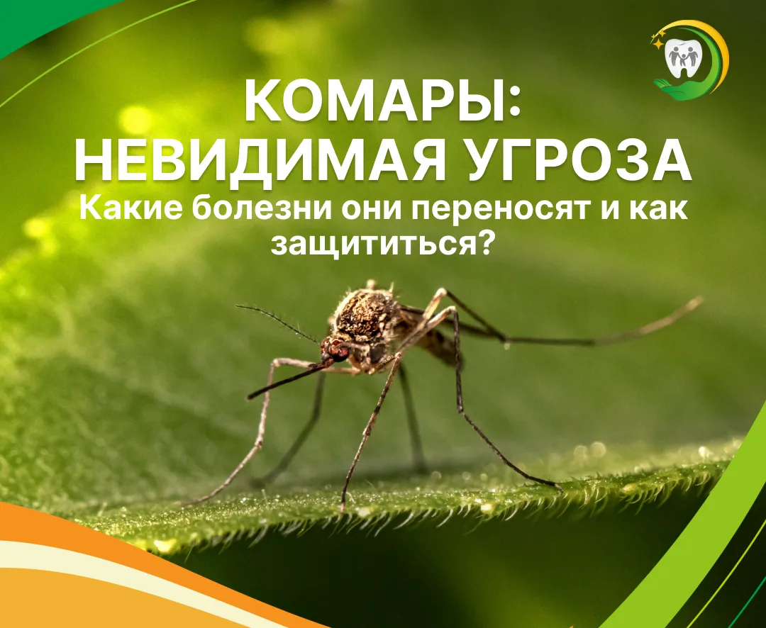 🦟 Комары: безобидны или нет?

Лето — время отпусков, путешествий и... комаров. Мы привыкли считать 