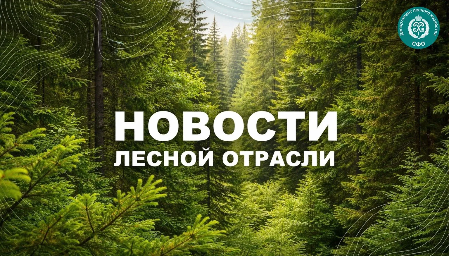 🟢ИИ ЧС Инфо Новосибирск: "Новосибирские пожарные-десантники тушат леса в Томской области"