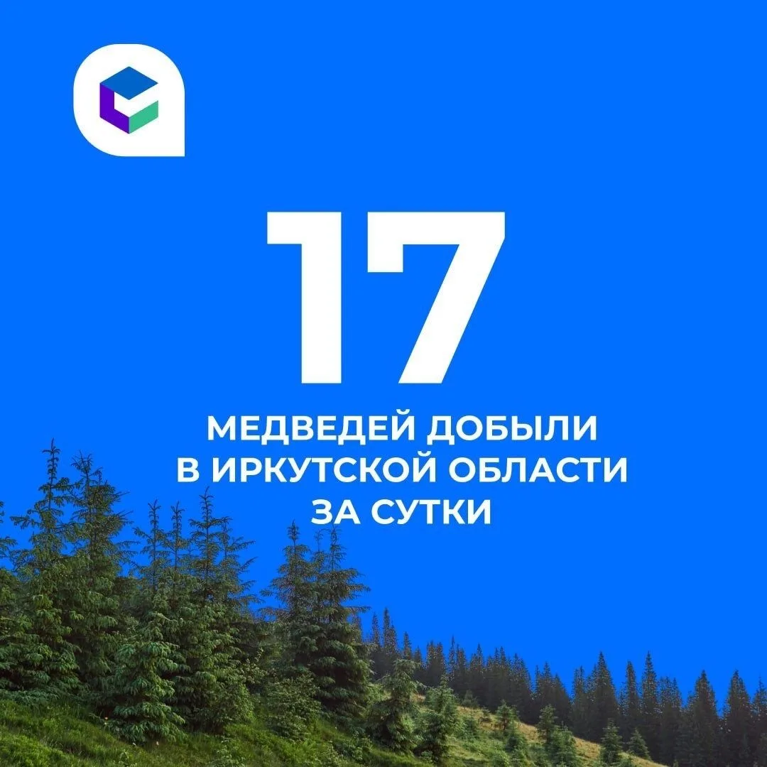 ⚡️17 медведей добыли в Иркутской области за прошедшие сутки.