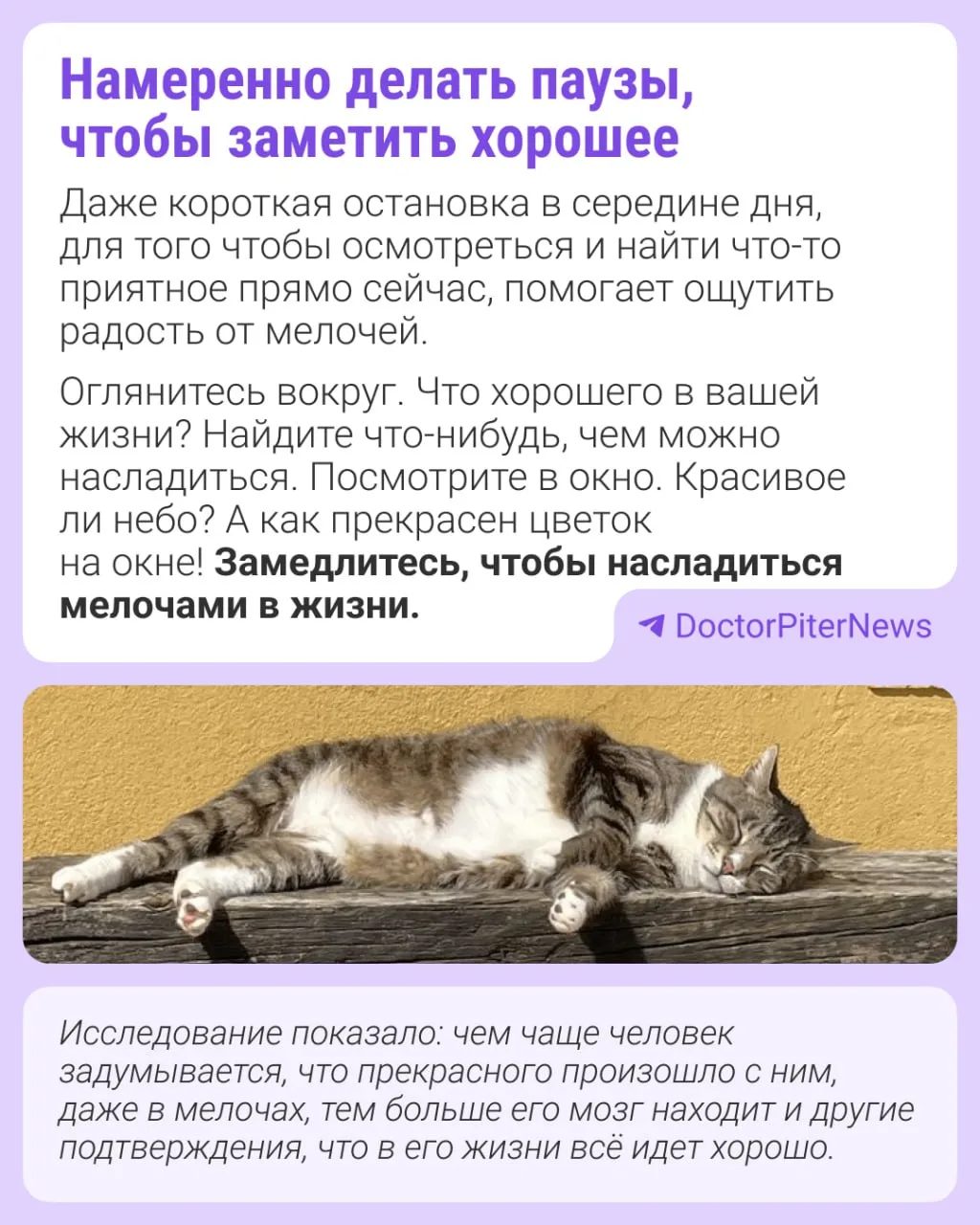 Изображение 4 к публикации «Афиша Новосибирска | НГС»