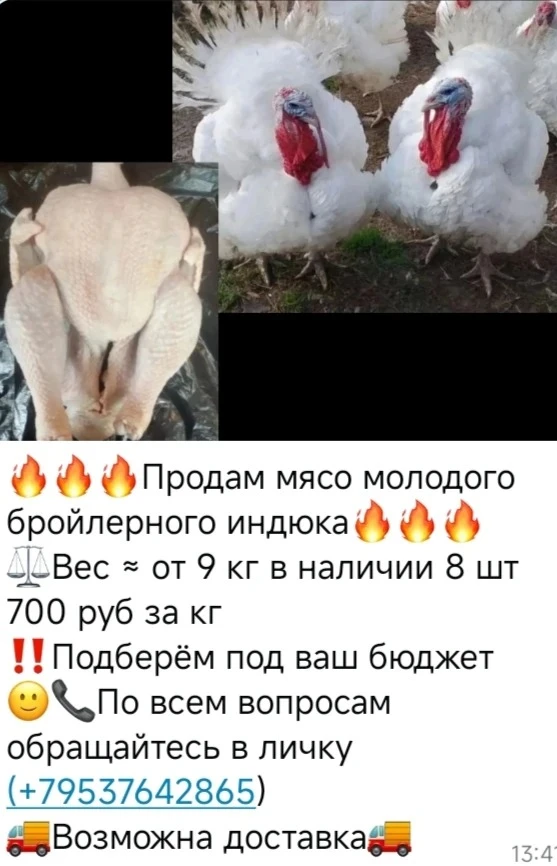 От подписчика Наталия Челюканова
