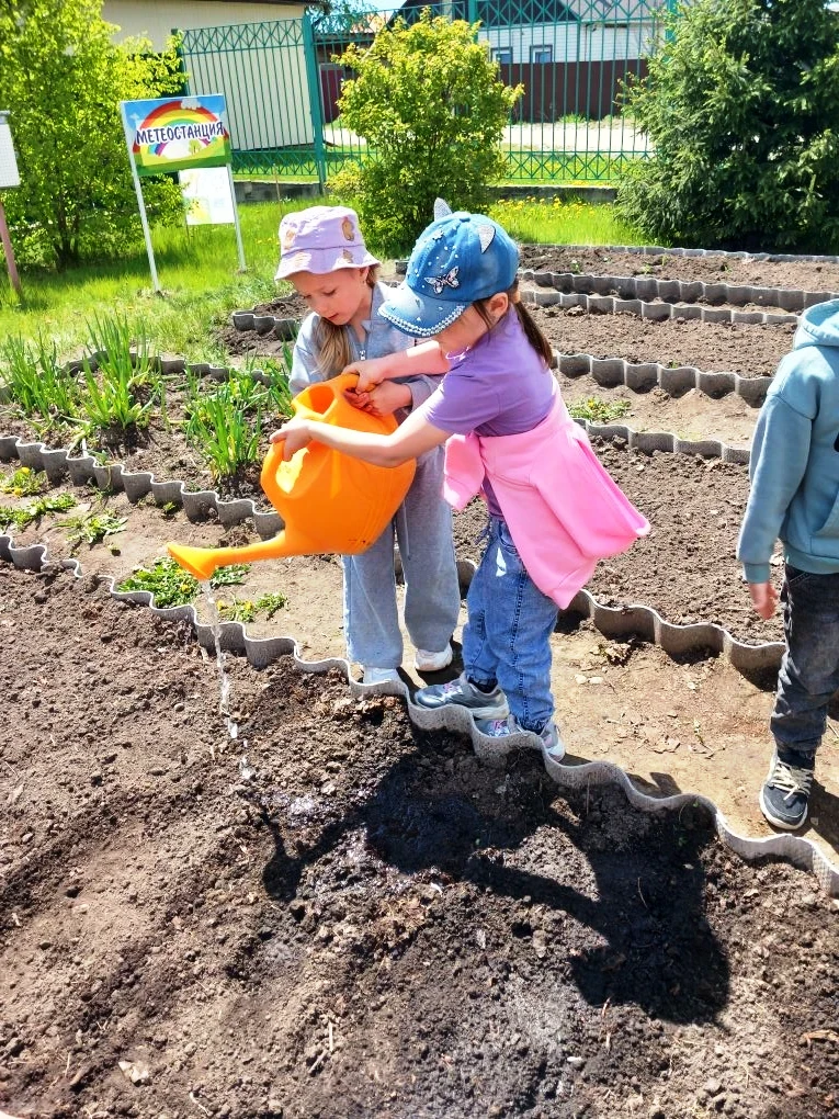 🥕Вот уже дня  во время прогулки в детском саду кипит настоящая работа! Наши ребята пре...