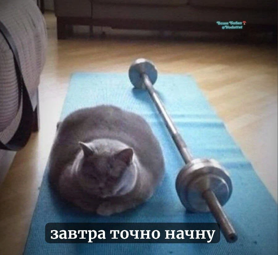 Или послезавтра... 🙄