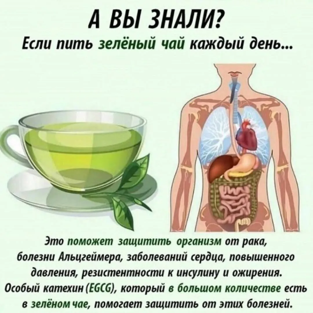 Про зеленый чай 🍵