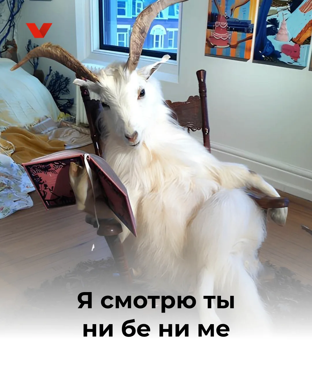 POV: смотришь в зеркало после олимпиады и вспоминаешь свое решение 🥹

#мем_от_взлета