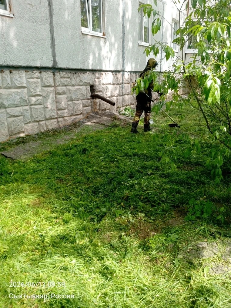 ☘️Делаем дворы в нашем районе красивее!